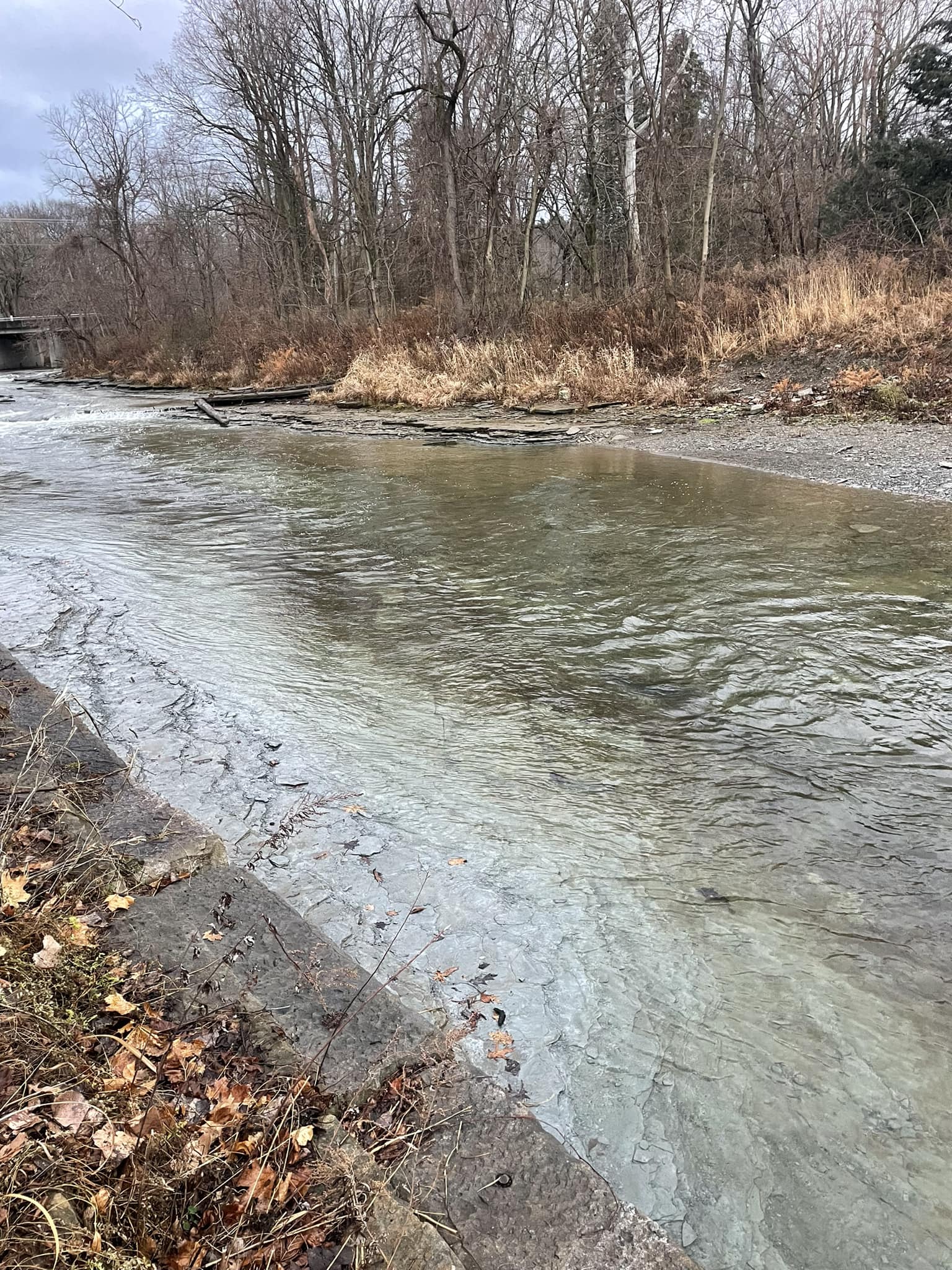 Happy Fishing! Here is this weekend's Big Bend fishing report